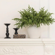 Větvička do vázy \CEDR\ 34.5x9cm