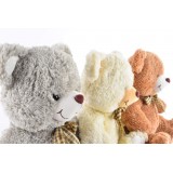 PE/PE-130453-1.JPG