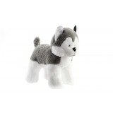 PE/PE-140092.JPG