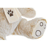 PE/PE-154959-2.JPG