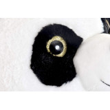 PE/PE-155157-2.JPG