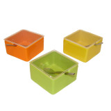 PH/PH-59494.JPG
