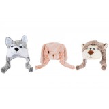 RC/RC-136049.JPG