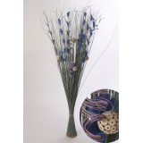 RD/RD-94905.JPG