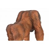 RF/RF-155270-2.JPG