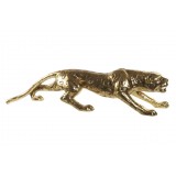 RF/RF-163620.JPG