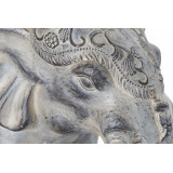 RF/RF-171146-1.JPG