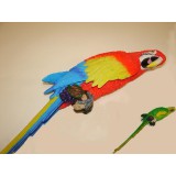 RF/RF-45647.JPG