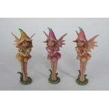 RF/RF-68653.JPG