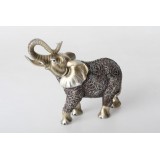 RF/RF-96460.JPG